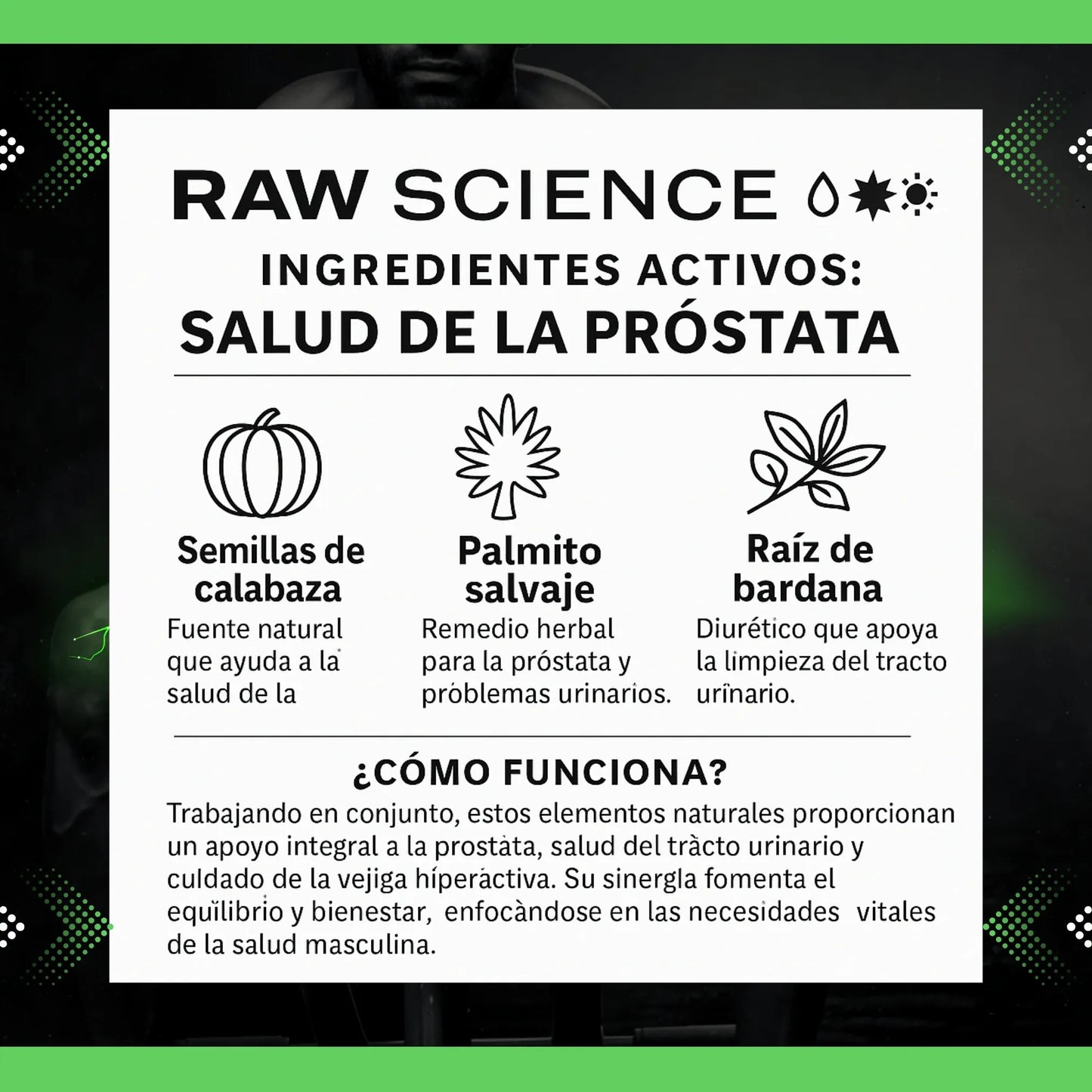 SUPLEMENTO PARA LA PRÓSTATA - VITALIDAD MASCULINA EN CADA CÁPSULA