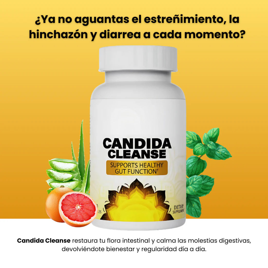 Suplemento Candida Cleanse 60 cápsulas – Equilibrio intestinal y defensas reforzadas