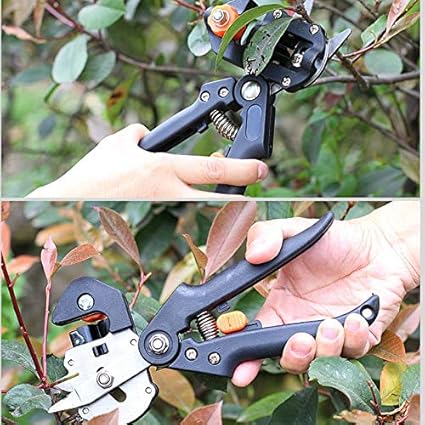 🚨GRAN LANZAMIENTO⚡️ -TIJERAS DE JARDINERÍA