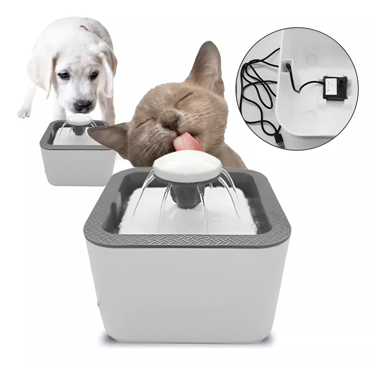 FUENTE PARA GATOS