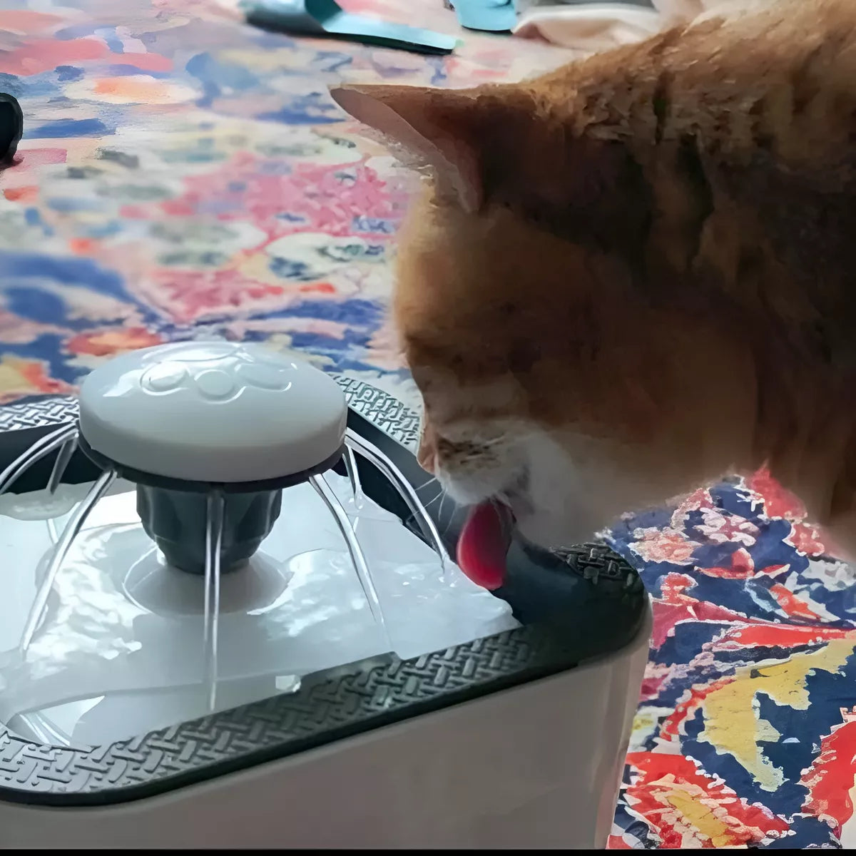 FUENTE PARA GATOS