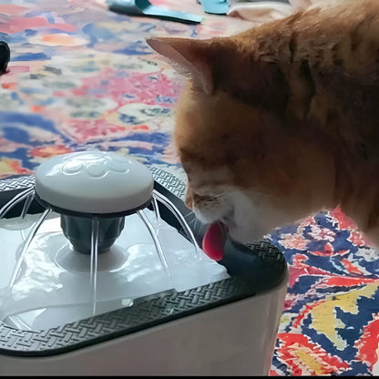 FUENTE PARA GATOS