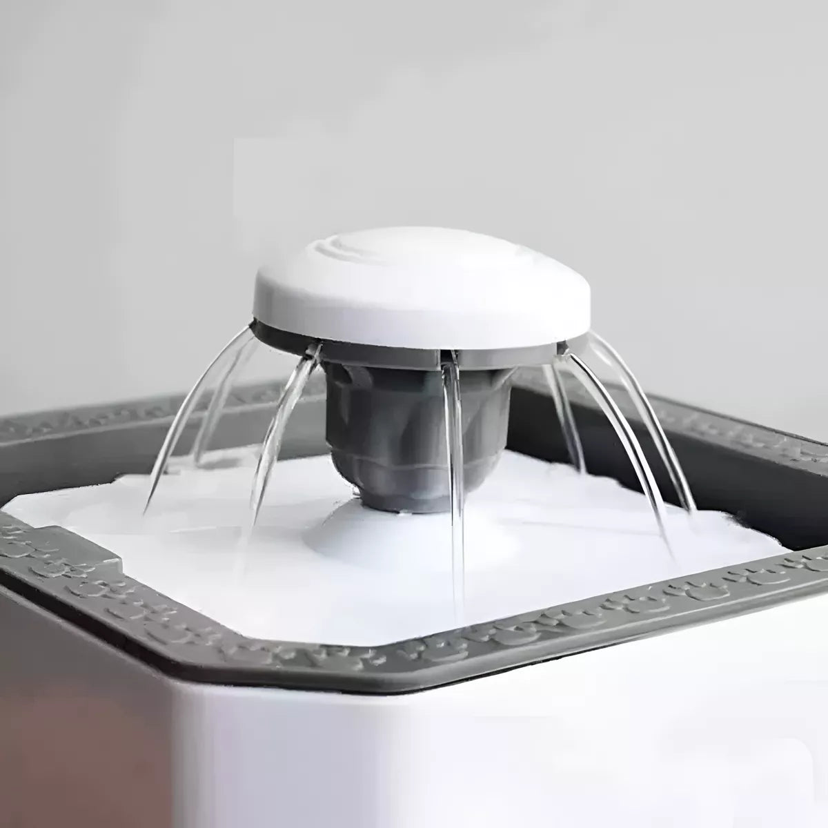 FUENTE PARA GATOS