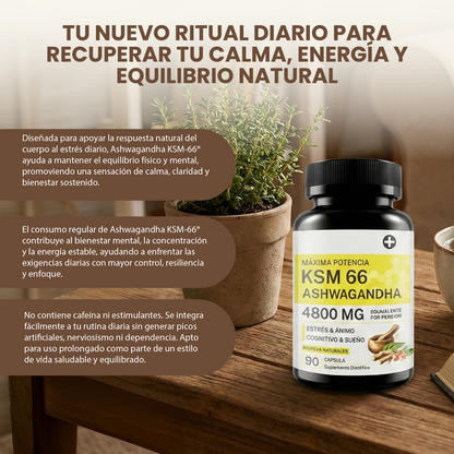 KSM 66 ashwagandha- Alivio del Estrés, Energía y Apoyo al Sueño.